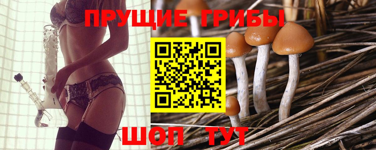 Новошахтинск  Псилоцибиновые грибы Cubensis  Галлюциногенные грибы Psilocybine cubensis  где продают наркотики  Вход с VPN 