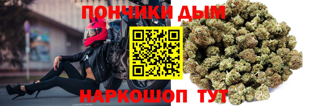 Бошки Шишки конопля Новошахтинск